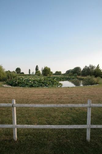 Bed & Breakfast Villa Casa Country