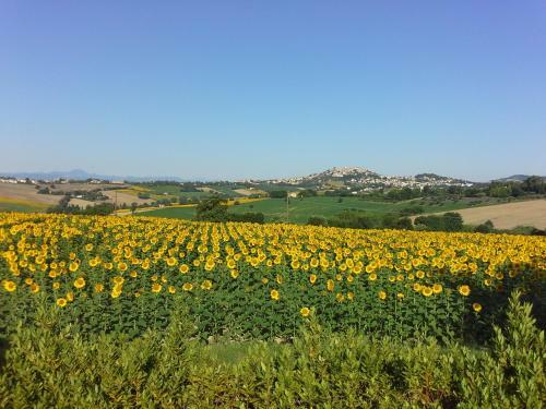 Bed & Breakfast Villa Belvedere Degli Ulivi