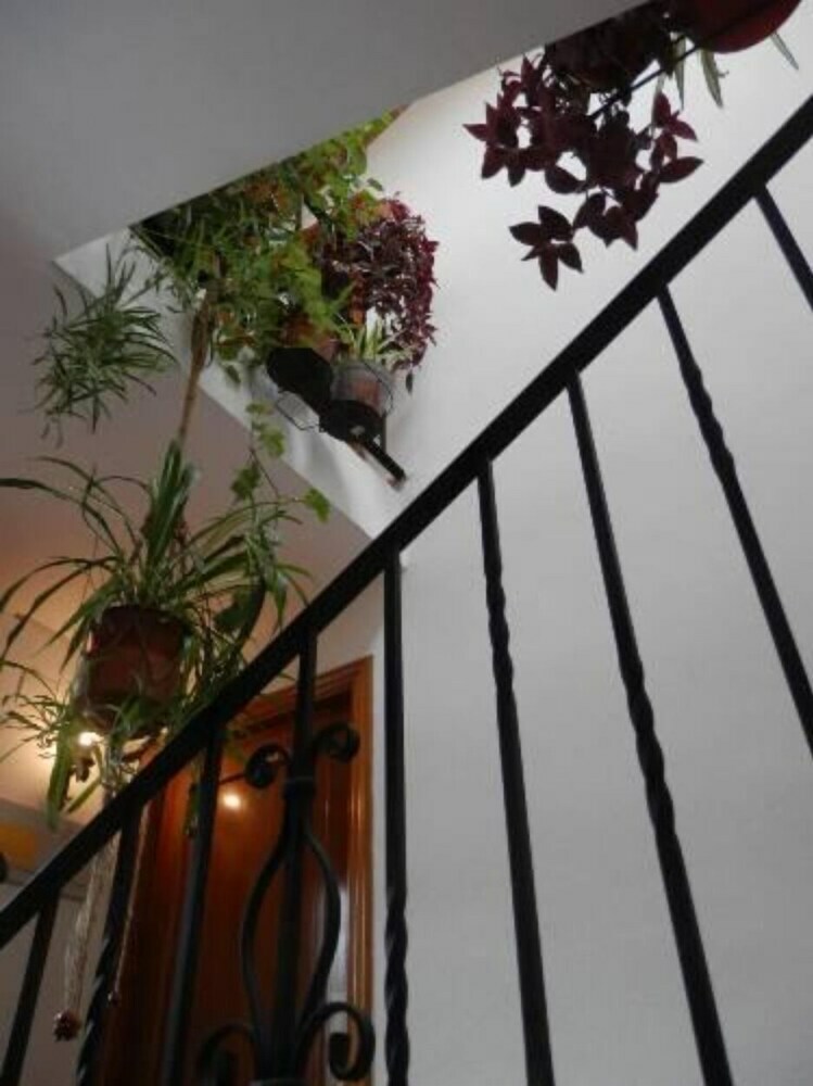 Hotel Hostal El Portalico