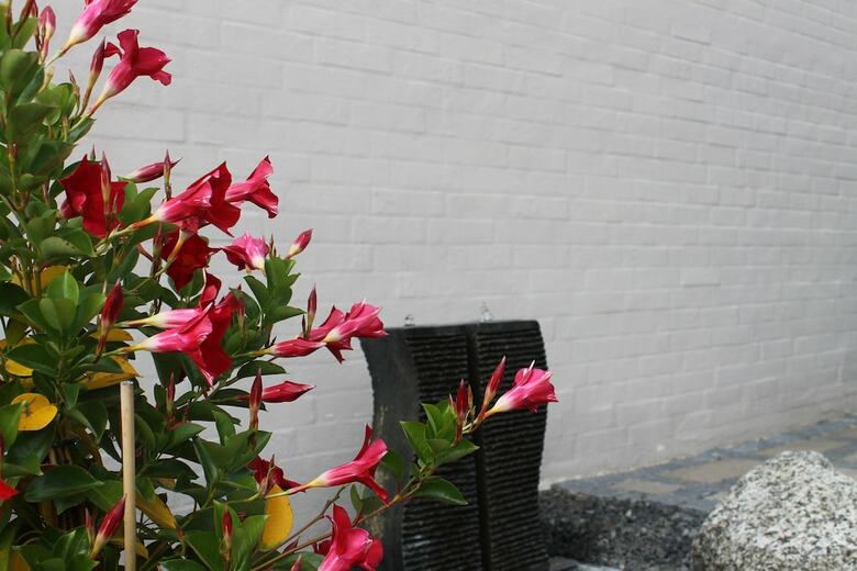 Amalie Bed And Breakfast & Apartments