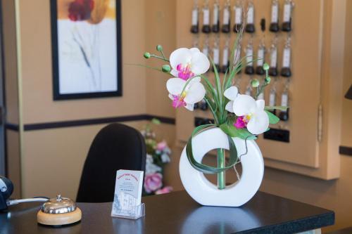 Hotel H�tel Saint Antoine