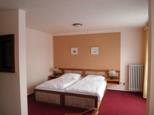 Hotel Zv�kov