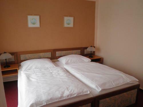 Hotel Zv�kov