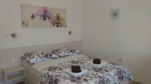Hostal Guesthouse Franica