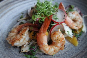 Hotel Crowne Plaza Surfers Paradise