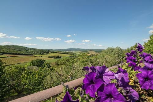 Apartamento Podere Sant'alessandro