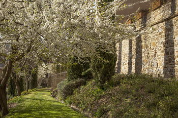 Hotel Villa Dievole