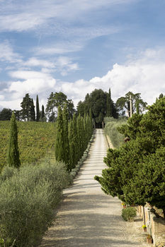 Hotel Villa Dievole