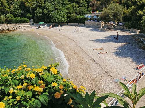 Apartments Marnic