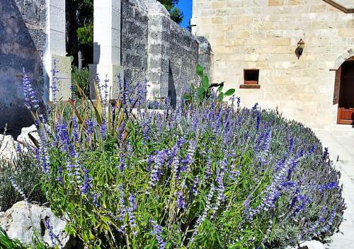 Agroturismo Masseria Caliani
