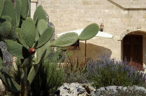 Agroturismo Masseria Caliani