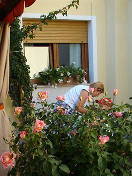 Bed & Breakfast Sa Chessa