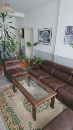 Hotel Hostel Bimbo