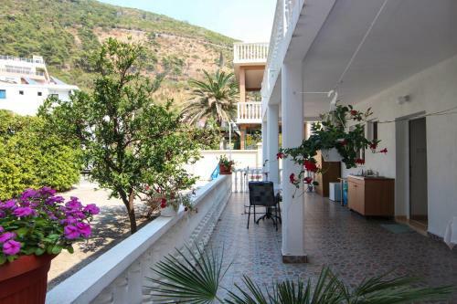 Apartamentos Guest House Viviana