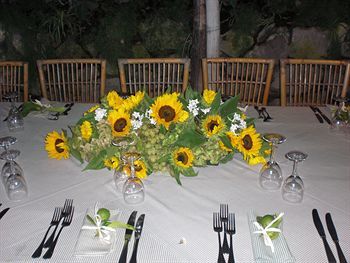 Hotel Fattoria Terranova