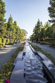 Hotel Freshwater Point Resort