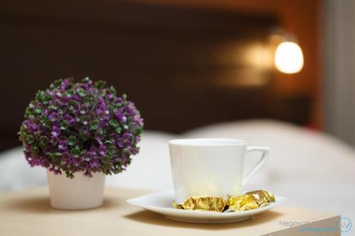 Hostal Vila Senjak B&B