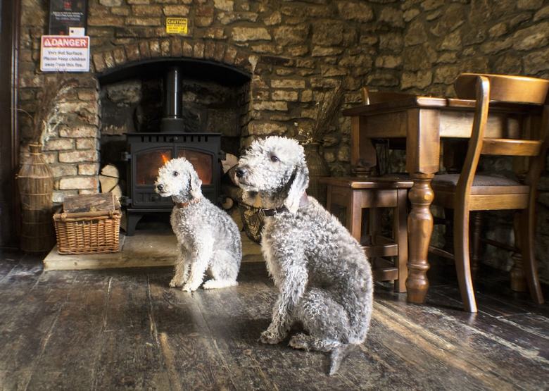 The Royal Oak Hotel