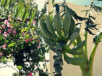 Apartamento Studios Crete