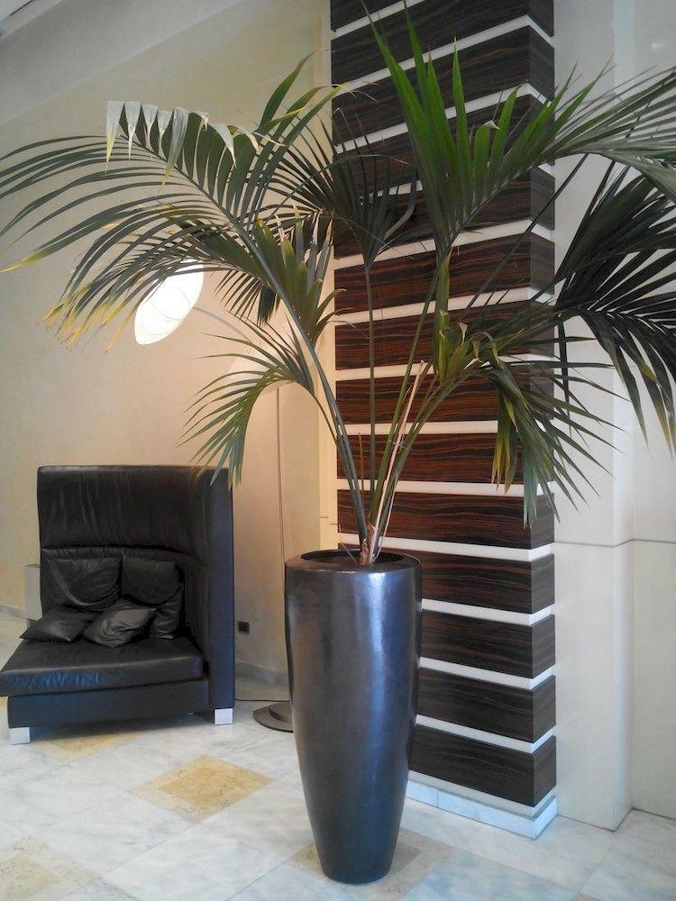 Papillo Hotels And Resorts Roma