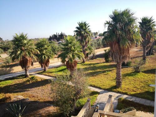 B&B Villa Gallipoli
