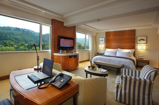 Hotel The Dragon