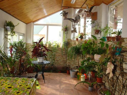 Hostal Vyshenka Guest House