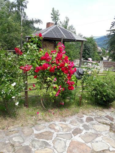 Hostal Girska Sadyba