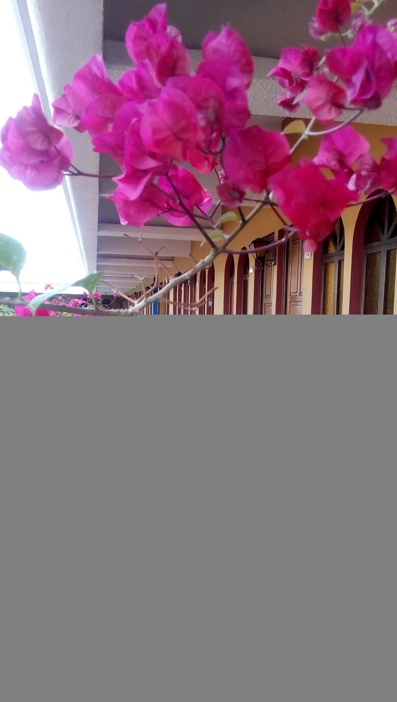 Hotel Villa Espa�ola