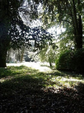 Bed & Breakfast Bulmer Tye House