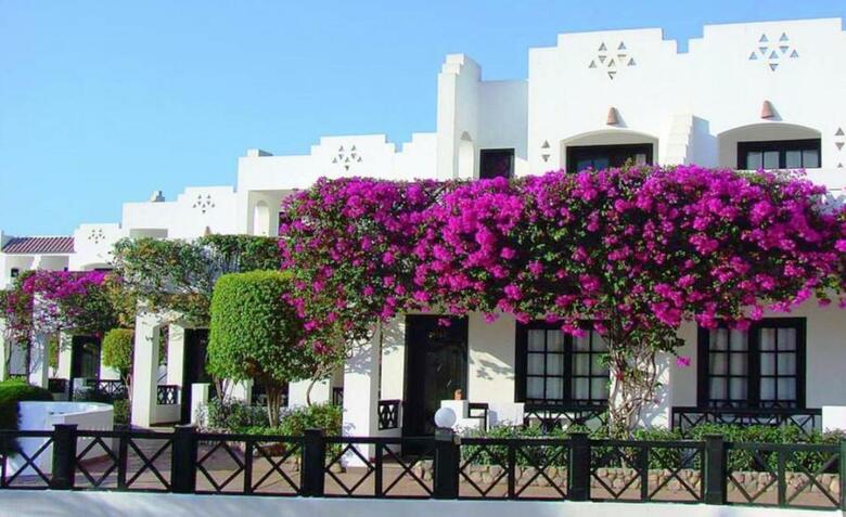 Hotel Verginia Sharm Resort