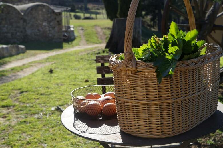 Agroturismo Mas Roquet
