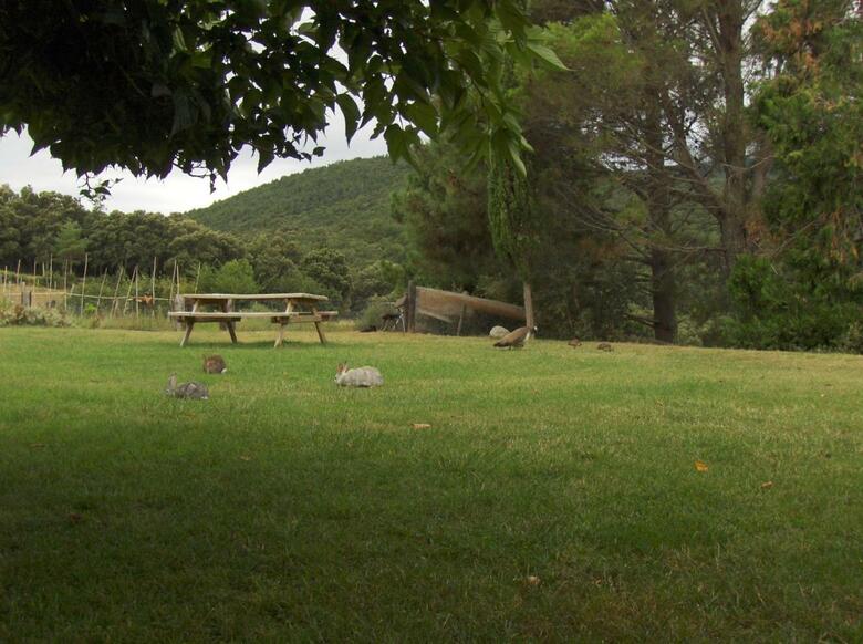 Agroturismo Mas Roquet