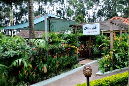 Olive Gardens Hotel