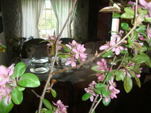 Hostal 44 On Ennis Guest Lodge And Restaurant