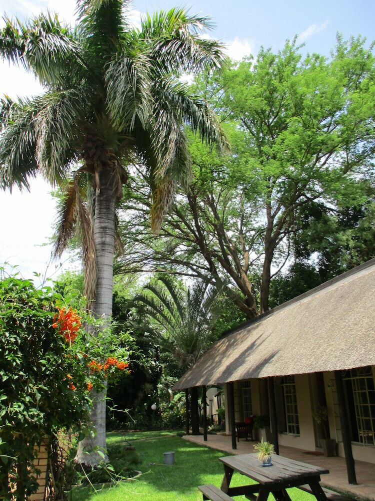 Hostal Lion's Guesthouse