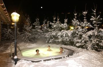 Hotel Alpenhof