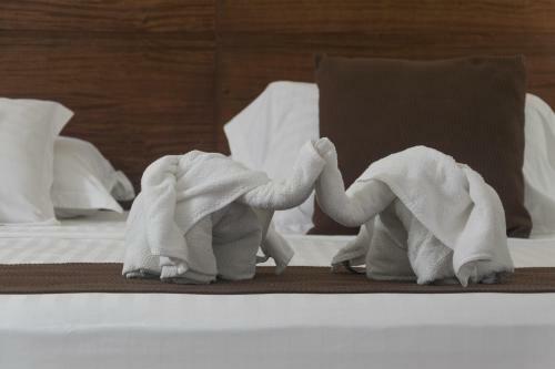 Hotel Caquet� Real Hsc
