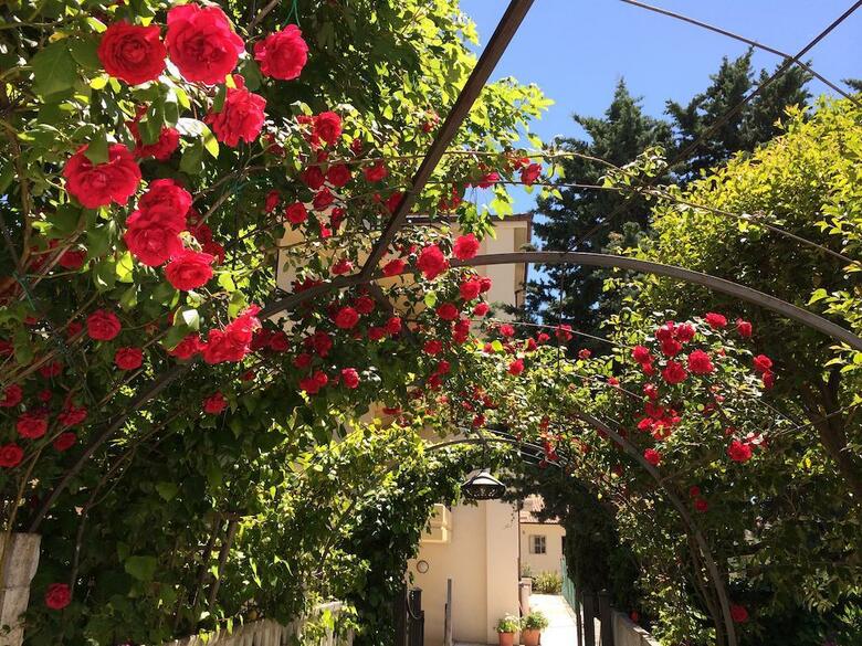 Hotel Parco Delle Rose