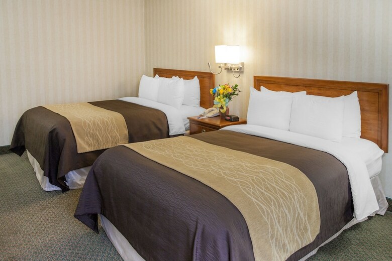 Hotel Comfort Inn At The Pentagon