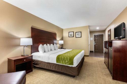 Hotel Comfort Inn Demopolis