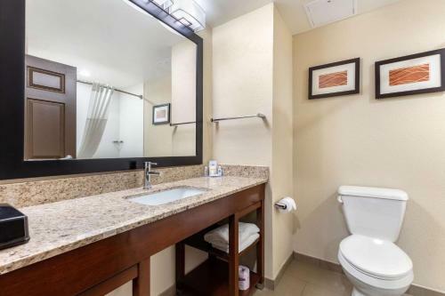 Hotel Comfort Inn Demopolis