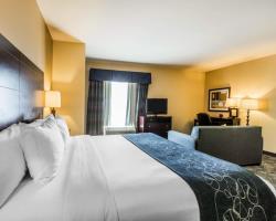 Hotel Comfort Suites Pell City