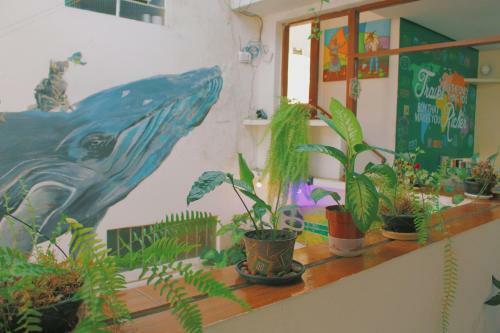 Hostel M�e Maria