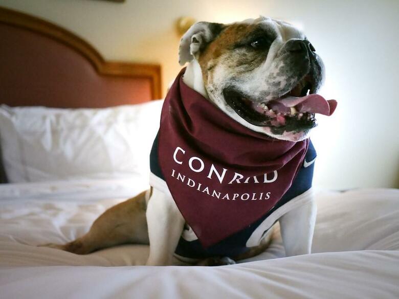 Hotel Conrad Indianapolis