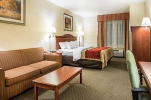Hotel Comfort Inn & Suites Galt - Lodi North