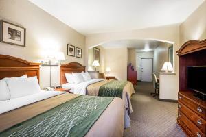 Hotel Comfort Inn & Suites Galt - Lodi North