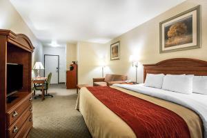 Hotel Comfort Inn & Suites Galt - Lodi North