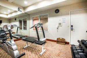 Hotel Comfort Inn & Suites Galt - Lodi North