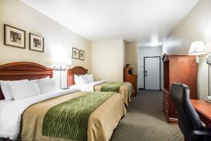 Hotel Comfort Inn & Suites Galt - Lodi North